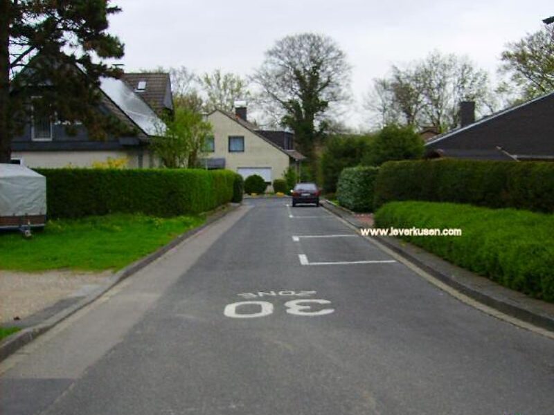 Rotdornweg
