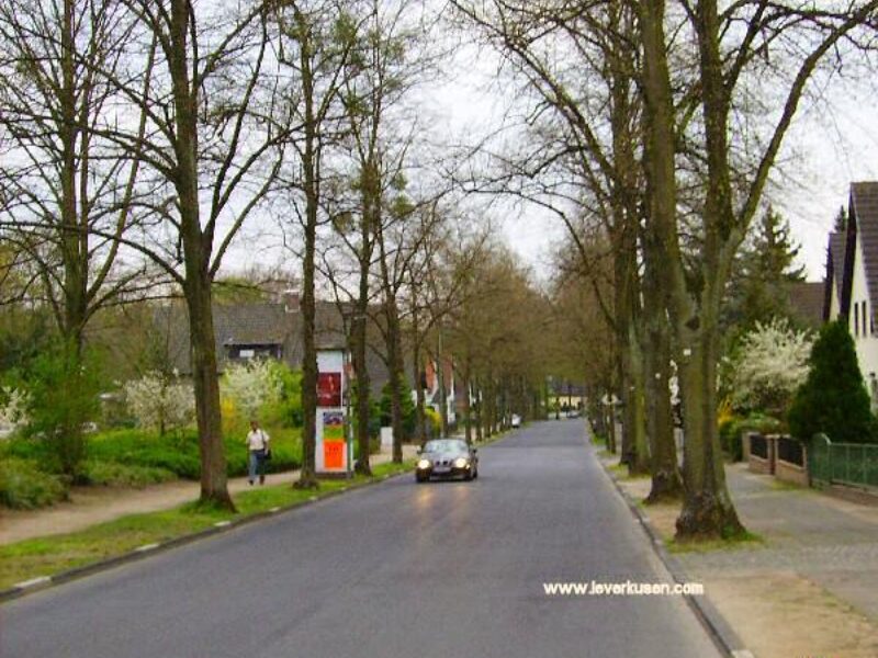 Saarstraße