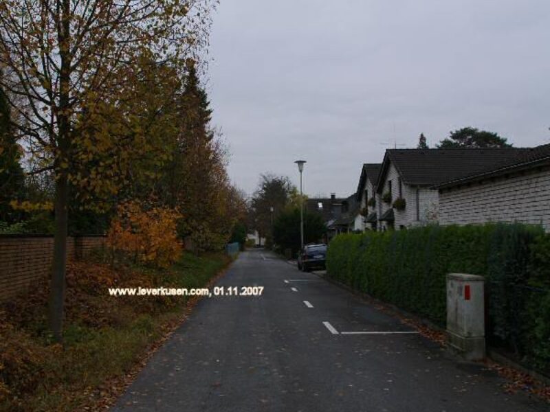 Sanddornstr.