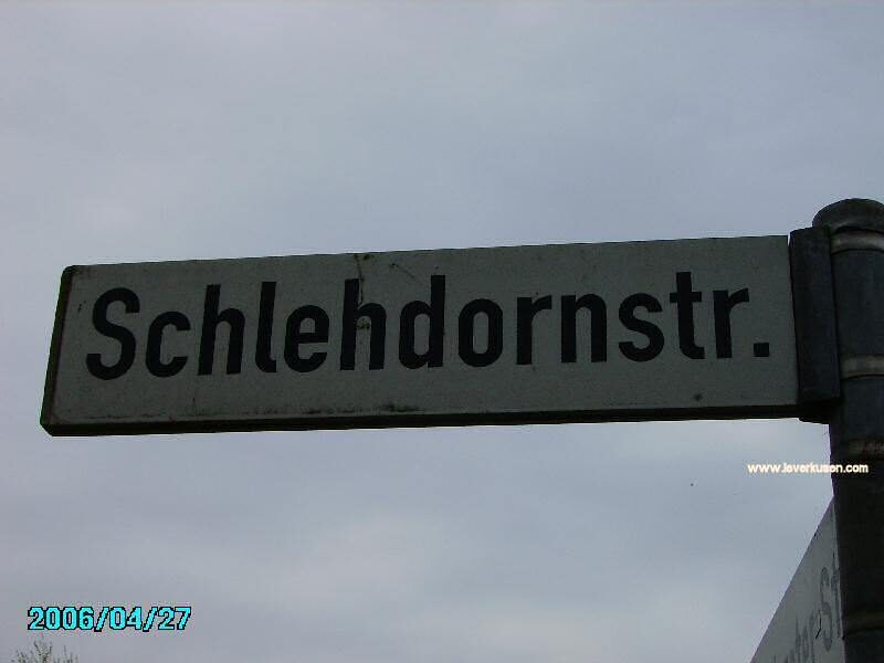 Schlehdornstr.