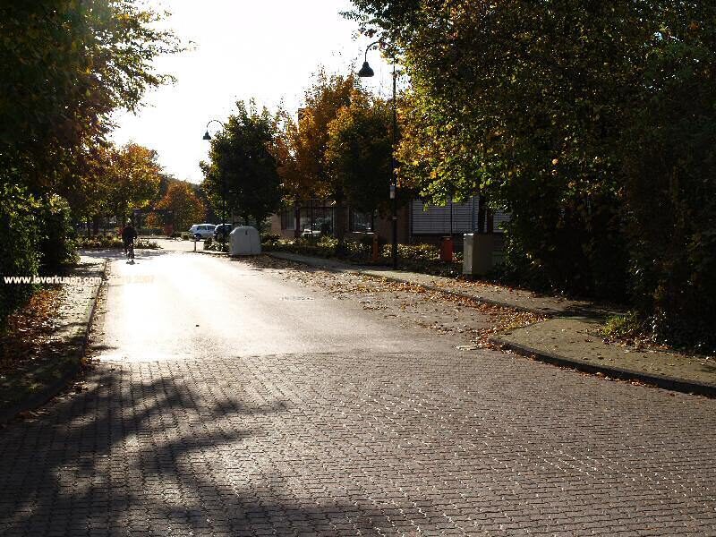 An der Schusterinsel