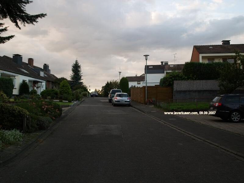 Tannenweg