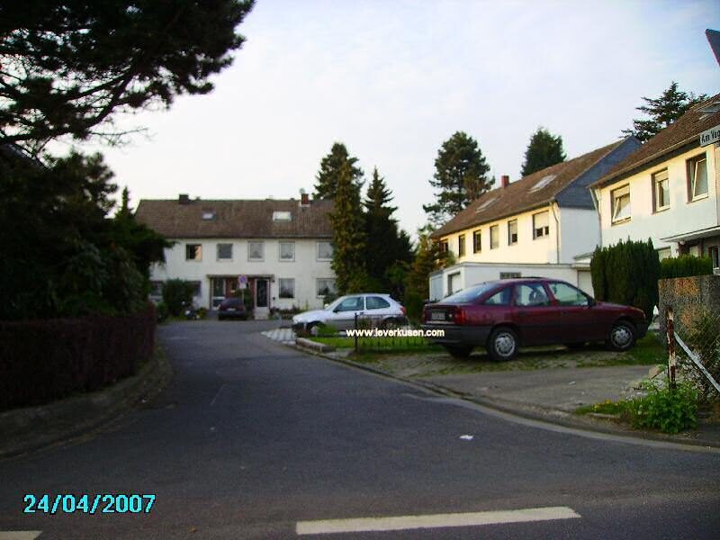 Am Vogelsang