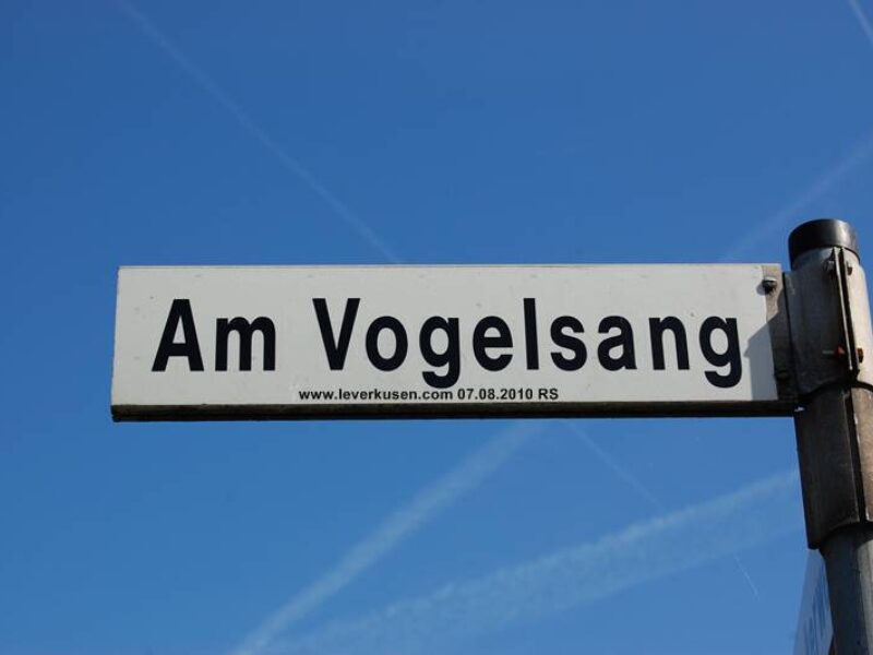 Am Vogelsang