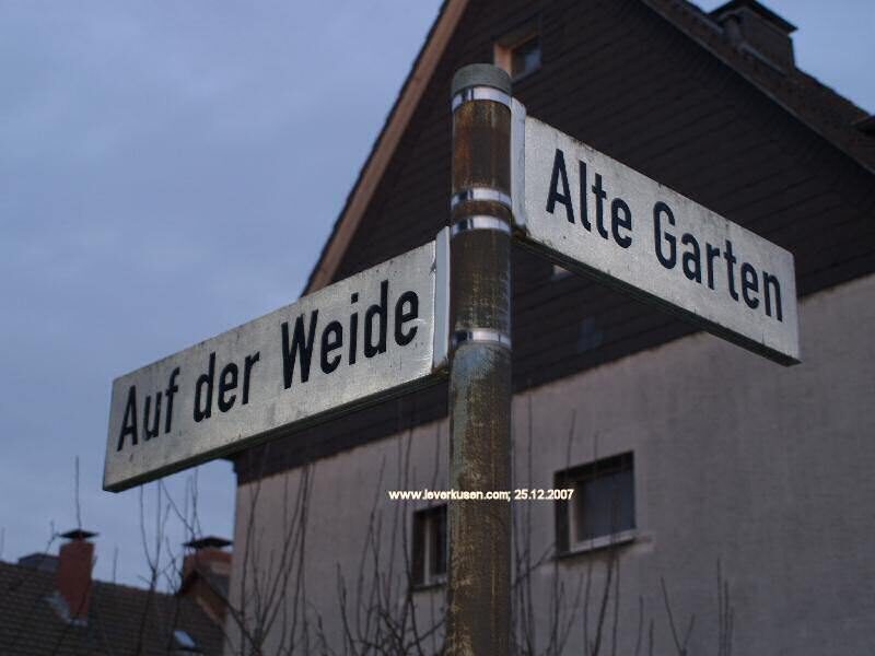 Auf der Weide