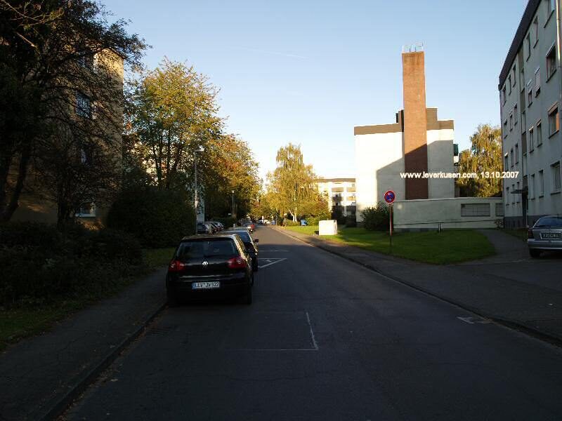 Am Weidenbusch