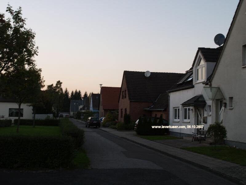 Weidfeldstr.