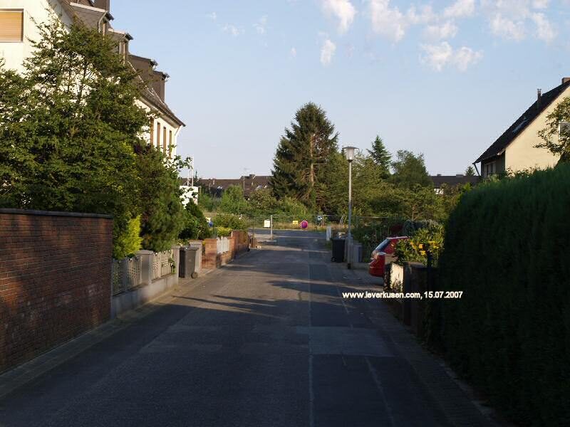 Weißdornweg