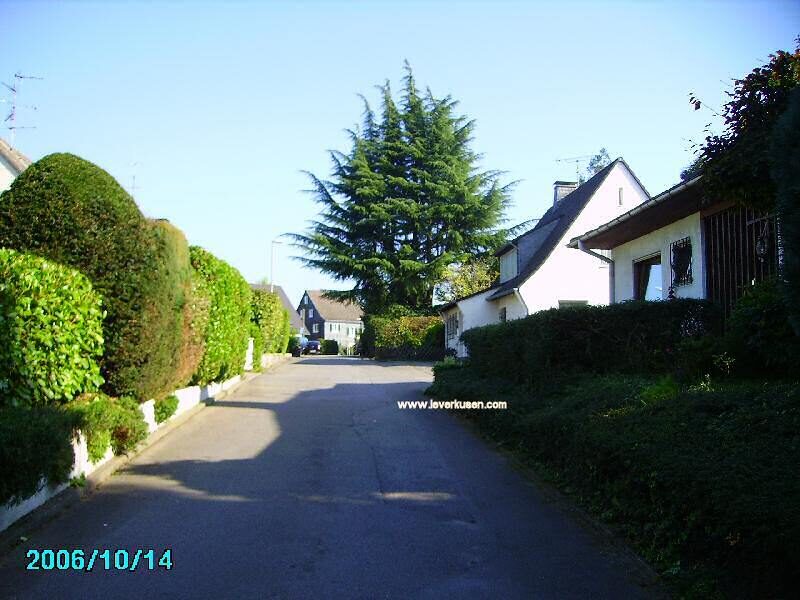Winkelweg