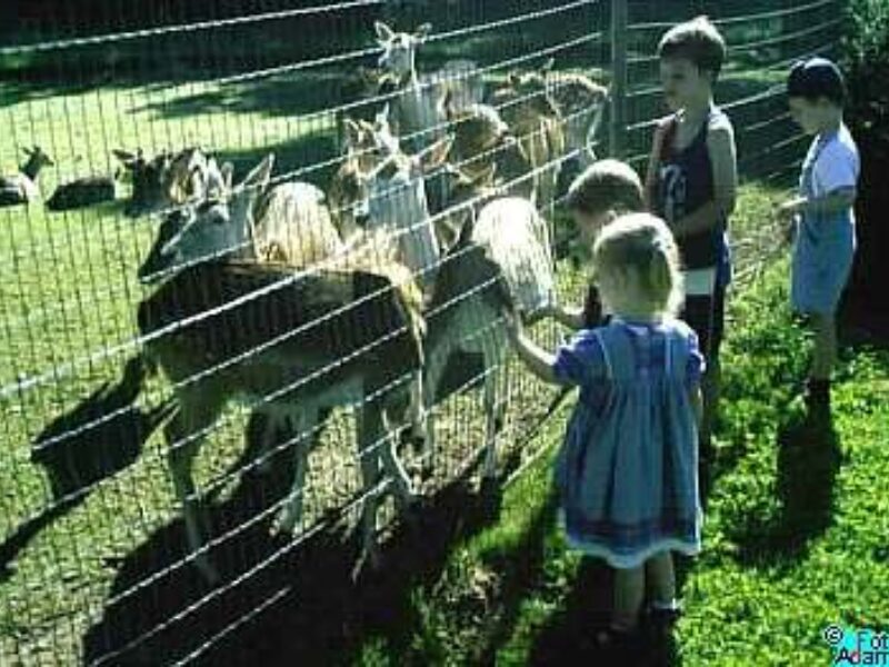 Am Reuschenberger Busch