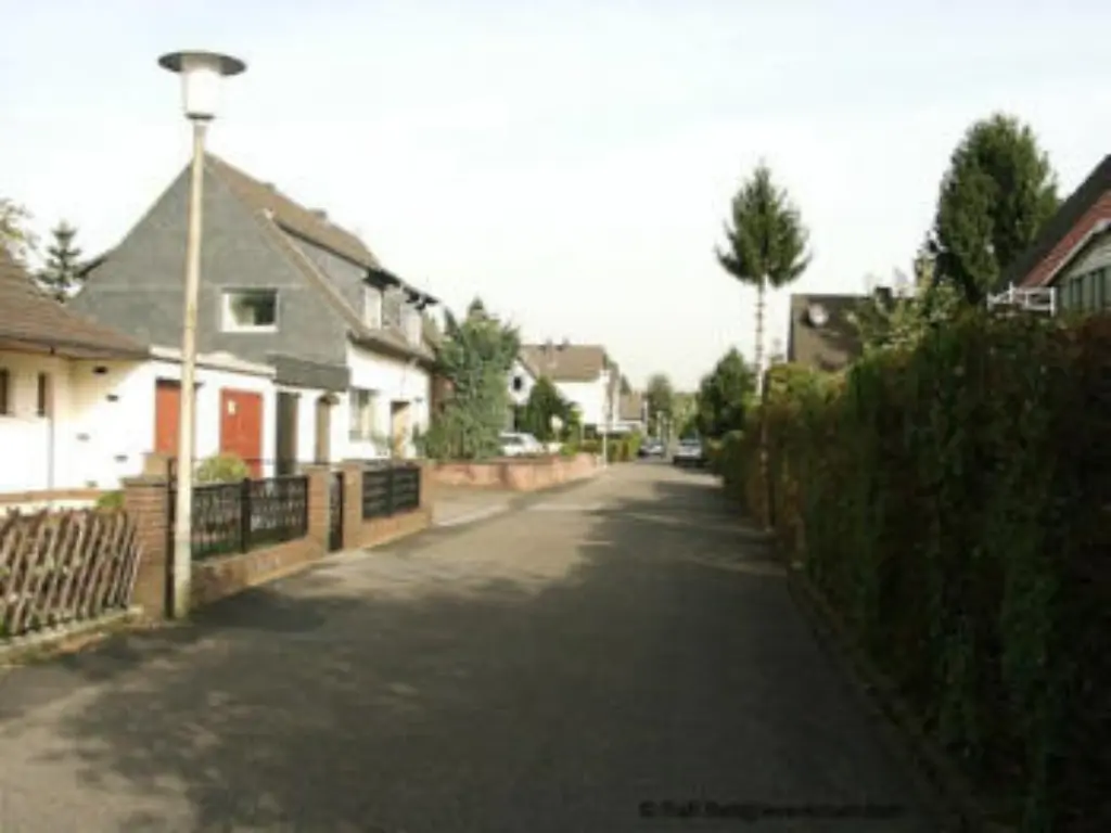 Kiefernweg01