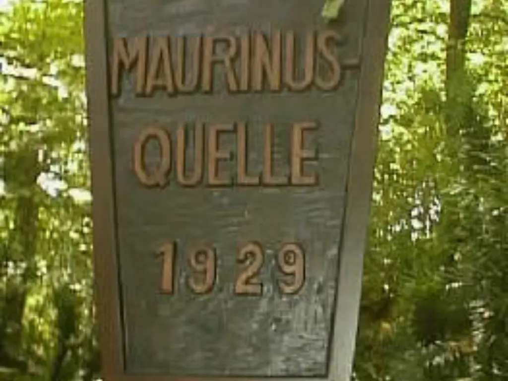 Maurinusquelle04